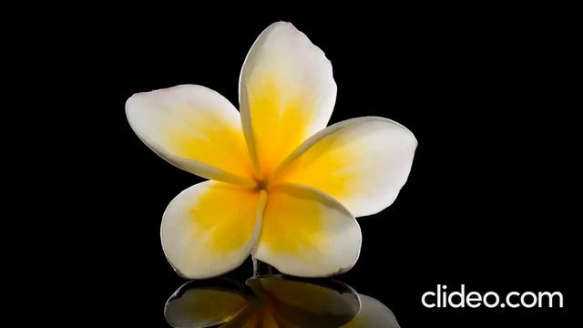 Om Chanting With Temple Bell #8DAudio -1.30Hour Version