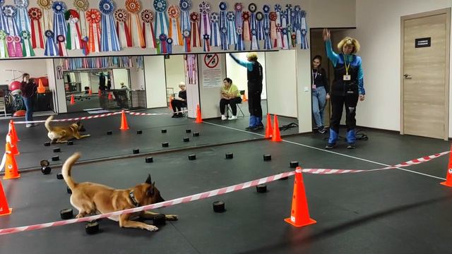 Нарезка этапа 3 - поведение у источника смотреть онлайн