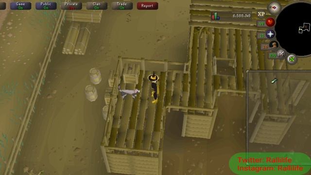 Osrs - Gertrudes Cat Quest Guide смотреть онлайн