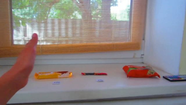 24 ЧАСА В ГАРАЖЕ С МОРСКИМИ СВИНКАМИ!!! Челлендж Свинка Бузя Кузя и Вера!!! смотреть онлайн