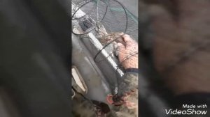 Супер перемёт на сома(Осень на водохранилище)