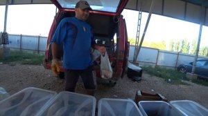 Анапа. Рынок в Цибанобалке. Оптовый рынок около Чембурки.