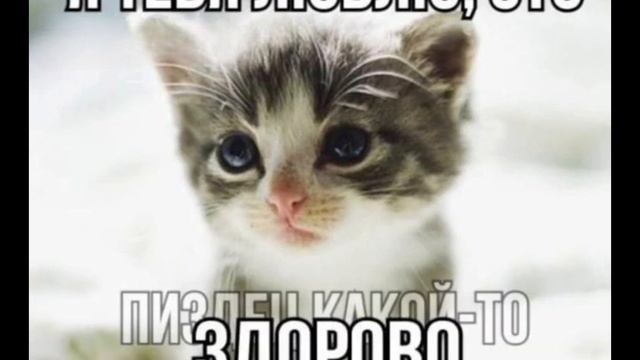 Я тебя люблю, это смотреть онлайн