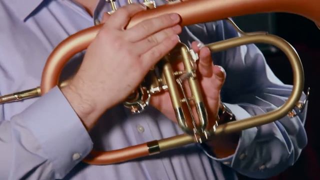 Blessing BFH-1549 Professional Flugelhorn смотреть онлайн