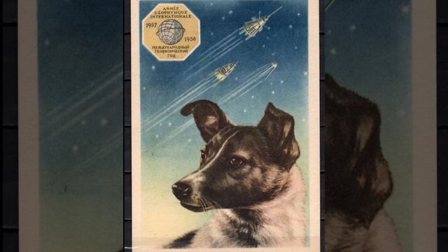 Первые собаки космонавты! Собаки в космосе! смотреть онлайн