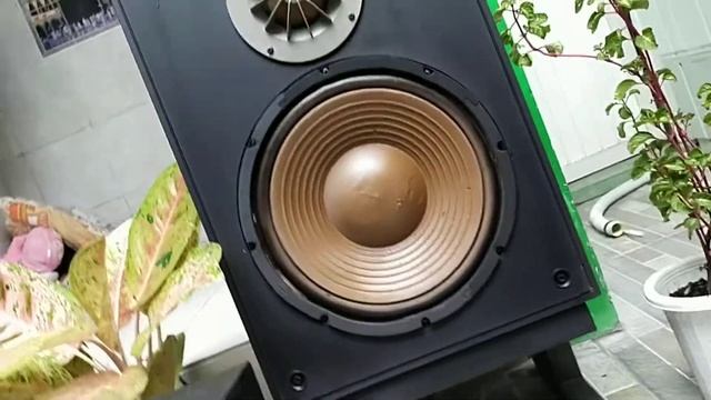 Technics SB-501 with SAE-14 Song GNR welcome to the jungle#vintage#audio#speaker#technics#amplifier смотреть онлайн