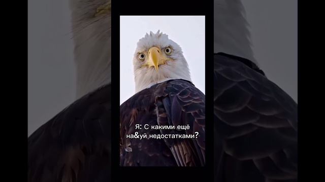 Совсем берега попутал🤔