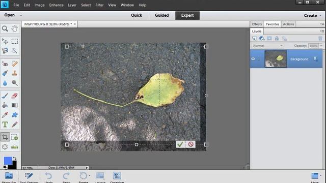 Rule of Thirds in Photography and Digital Scrapbooking смотреть онлайн