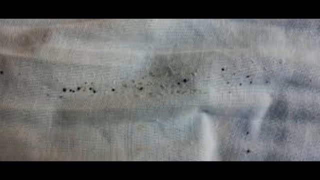 Признаки клопов в доме! смотреть онлайн