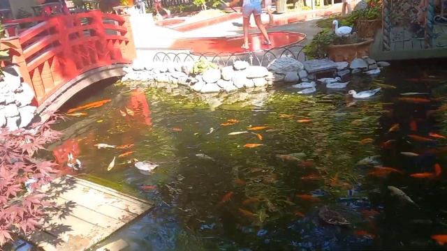 Гордист гольфист ... Играем в парке Горького в гольф ... смотреть онлайн