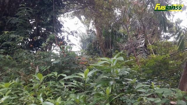 Doosan Daewoo 180WV Wheel Excavator New Road Building Site Cleaning смотреть онлайн