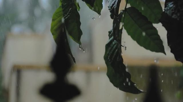 Спокойная красивая музыка, музыка для релаксации ,музыка для глубокого сна.