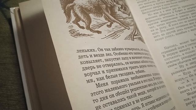 Д. Мамин-Сибиряк. МЕДВЕДКО. смотреть онлайн