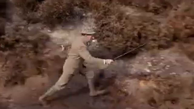 El perro de Baskervilles - 1959 смотреть онлайн