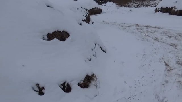 Сколько сена? Грабли есть? Где пресс? В гости к Блогеру. смотреть онлайн