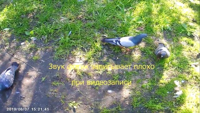 Фотик - Алиэкспрессс обманывает в названии товара и в характеристиках смотреть онлайн