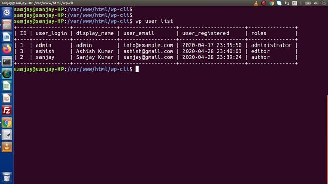 Wordpress WP CLI Tutorials for Beginners #14 Manage Users (List/Capabilities) - WP CLI Command смотреть онлайн