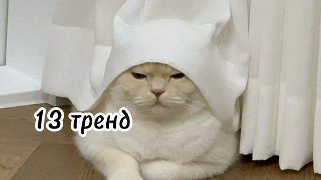 @yourdream7 Танцуй если знаешь этот тренд || 2021г тикток || все тренды|| #тикток смотреть онлайн