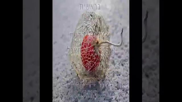 25 кадр. смотреть онлайн