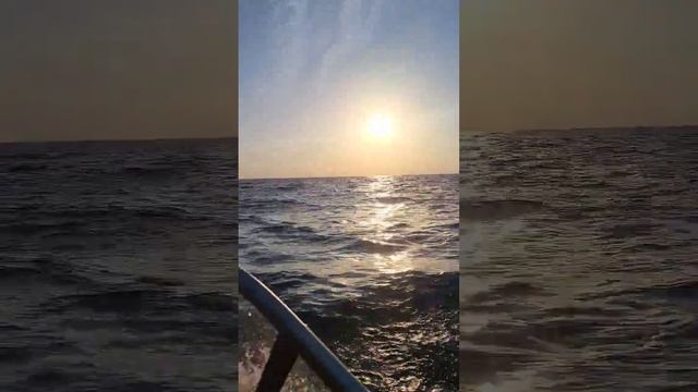 Лодка тактика 390 дс на море смотреть онлайн