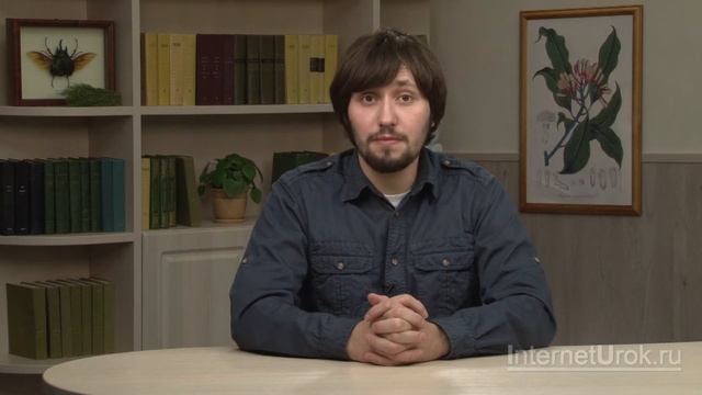 Химический состав растений. Видеоурок по Биологии 6 класс смотреть онлайн