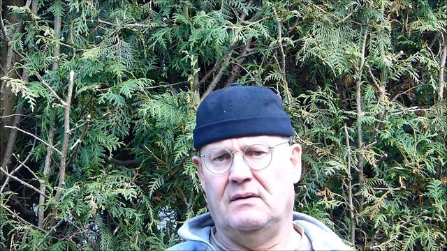 Mikrofon-Test Rode Rycote Edition VideoMic an der Panasonic DMC-FZ 200 смотреть онлайн