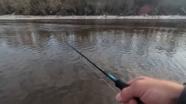 Открытие 2024  Спиннинг !!! Руки УСТАЛИ ТЯНУТЬ! Судак, Щука, Лещ!!!