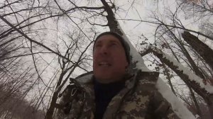 гора Кутузова грива, 285 м., Вяземский район, Хабаровский край.