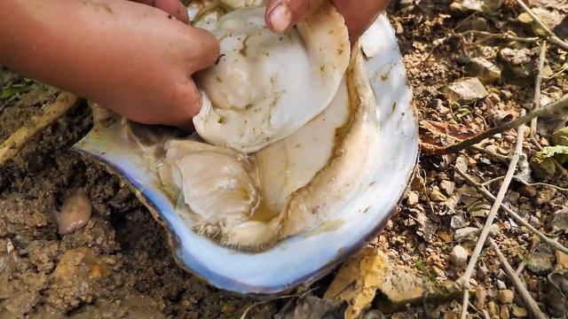 An oyster stuck in its throat by a large bone, unexpectedly having a big yellow pearl in its stomac смотреть онлайн