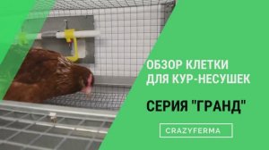 Видео-Обзор клетки для кур серии _Гранд_.