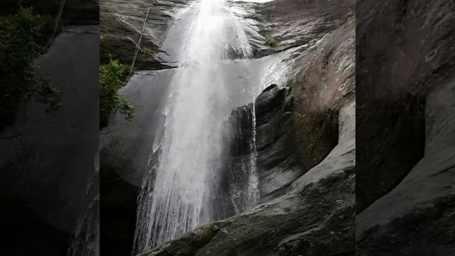 Bambarakanda watrefall #Highest #Wterfall #SriLanka смотреть онлайн