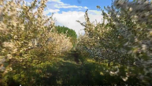 МАЙ ПРИШЁЛ...!!! Стихи. смотреть онлайн