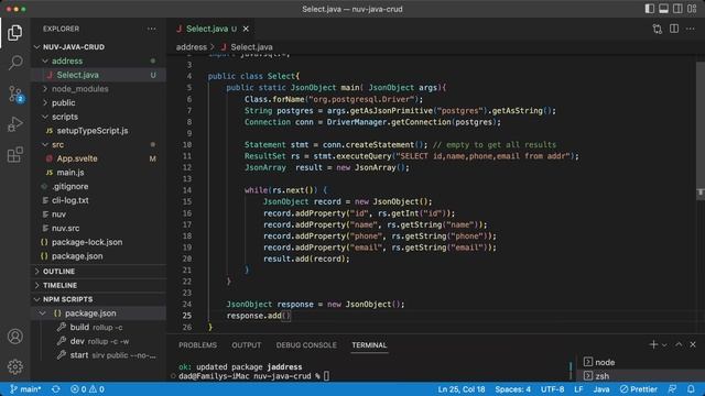 04 - Select.java function - Java CRUD Nuvolaris смотреть онлайн
