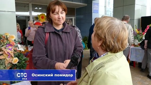 Осинский помидор смотреть онлайн