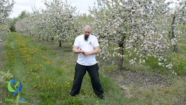 Важные аспекты освоения комплекса 8 свитков парчи смотреть онлайн