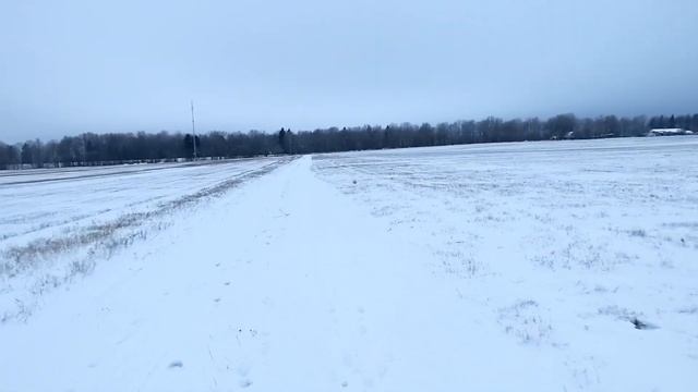 От Долгопрудного до ГАБО лесам на фэтбайке смотреть онлайн