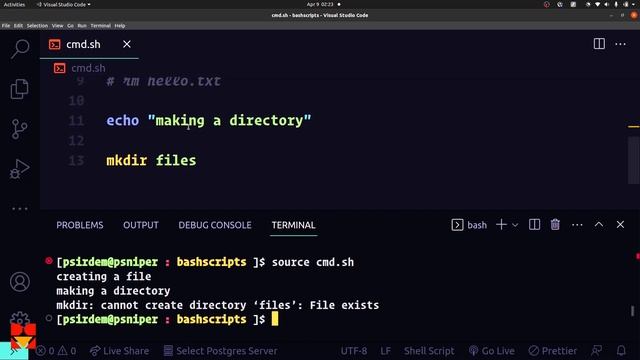 3. Bash Scripting || Use of Some basic terminal commands in Bash scripts смотреть онлайн