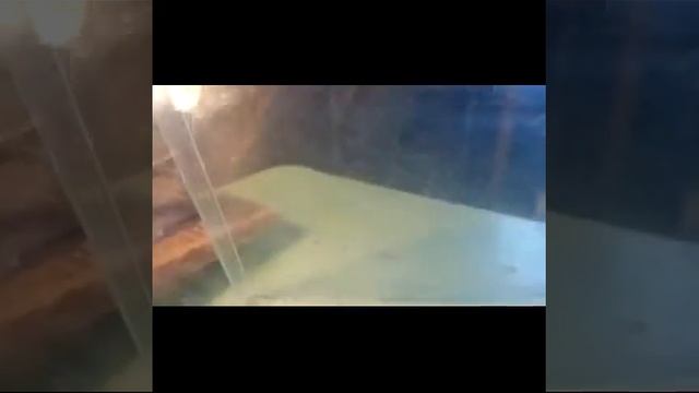 Как сделать подставку для телефона смотреть онлайн