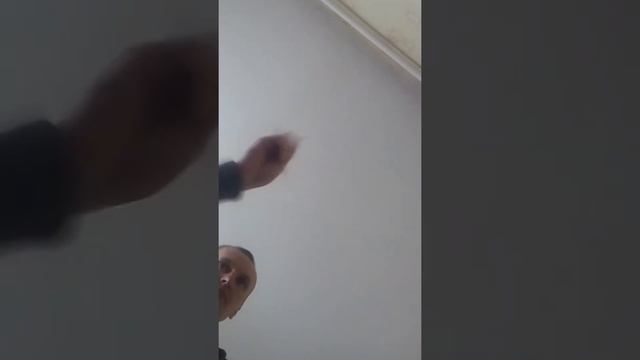 стальная бабочка