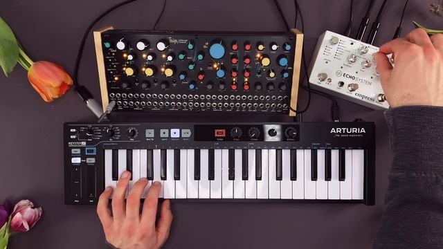 Pittsburgh Modular Taiga Sound Demo (no talking) with Empress Echosystem смотреть онлайн