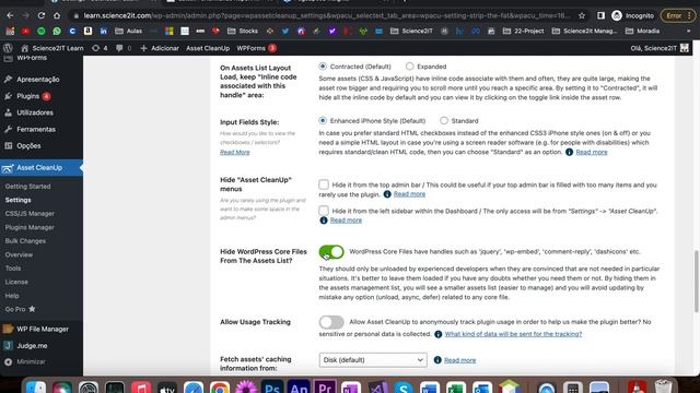 2 Asset CleanUp Plugin usage preferences смотреть онлайн