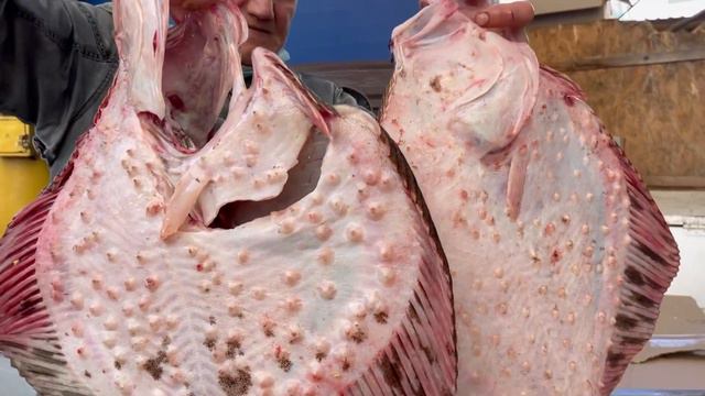 ОЧЕНЬ БЫСТРЫЙ ЗАКАЗИК ОТ ТАЛИСМАНЧИКА 🐠🐟🐠 смотреть онлайн