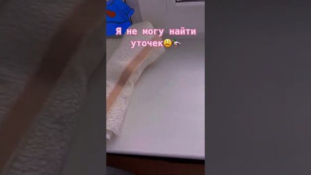 ??Самые Крутые УТОЧКИ ЛАЛАФАН ИЗ ТИК ТОКА ?? смотреть онлайн
