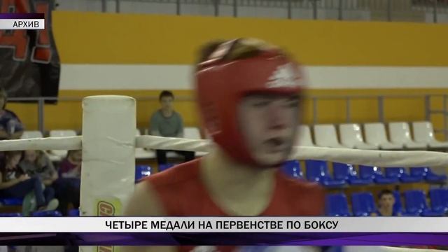 Тагильские боксеры завоевали четыре медали на областном первенстве по боксу смотреть онлайн