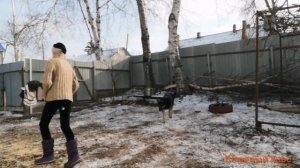 Хоббихорсинг влог/тренировки/ 06.12.20