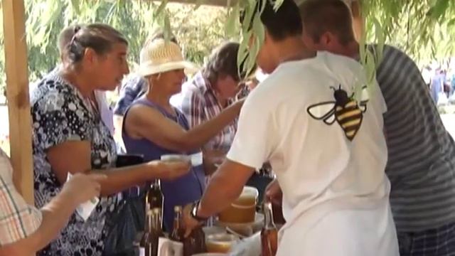 В регионе появится центр пчеловодства смотреть онлайн