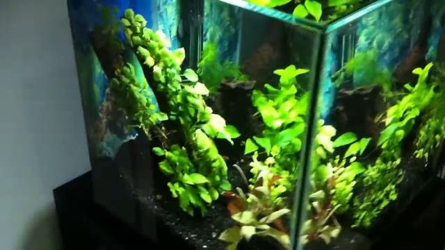 My new aquarium 2 смотреть онлайн