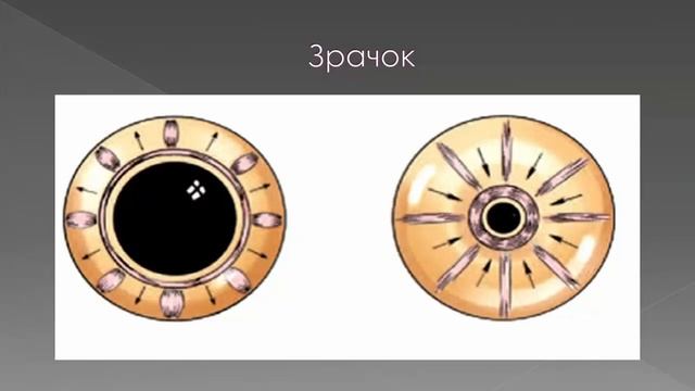 Суббота Творения - 28 октября 2023г. смотреть онлайн