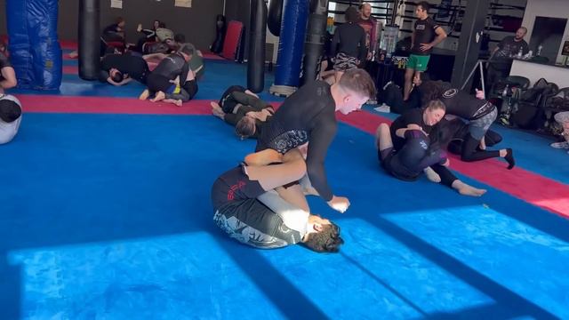 Daisy Fresh American Jiu Jitsu In England! Stop #2 Warrington смотреть онлайн