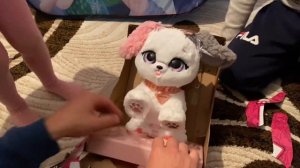Интерактивный щенок Present Pets Spin master ОБЗОР